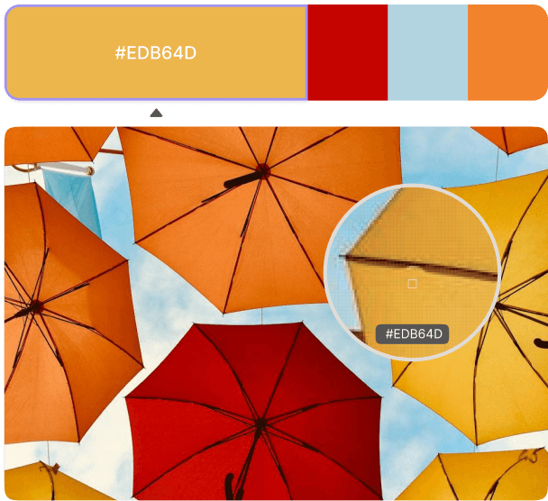 Extract Vibrant Color Palettes from Your Images