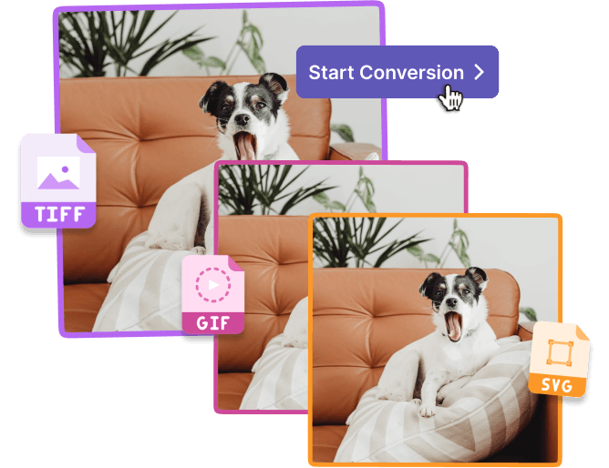 Okdo GIF JPG BMP to TIFF Converter - Convert GIF to TIFF, JPG to TIFF, BMP  to TIFF