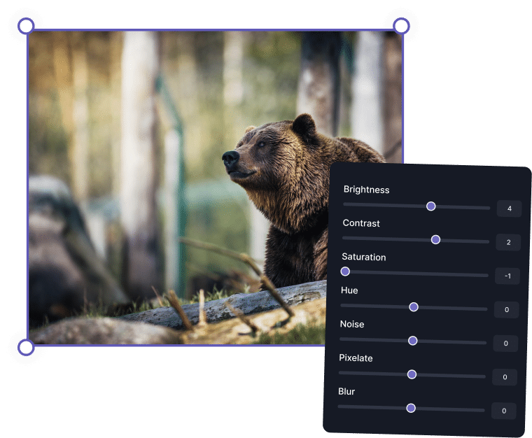 All-in-One Animal Photo Editing Toolkit